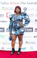 Silicon Valley African Film Festival (2022)