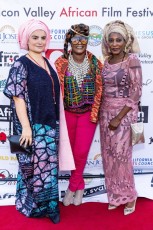 Silicon Valley African Film Festival (2022)