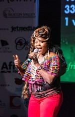 Silicon Valley African Film Festival (2022)