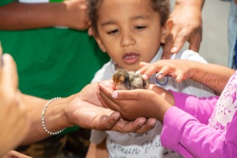 Juneteenth In The Town (2019)