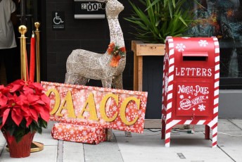 6th Annual Black Sunday Holiday Shopping Experience