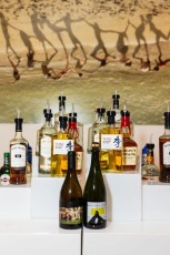 SFMOMA Art Bash 2024