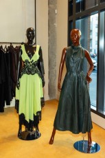 McMullen Fall Presentation