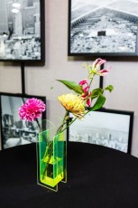 Booker T. Washington Community Service Center "Bloom Ball" (2024)