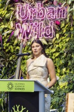 Big Bang Gala and Party After Dark 2026