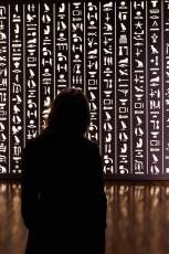 Treasures of the Pharaoh Opening at the de Young