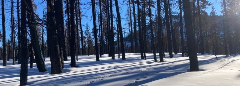 Bay Area day trips: Winter excursions out of doors