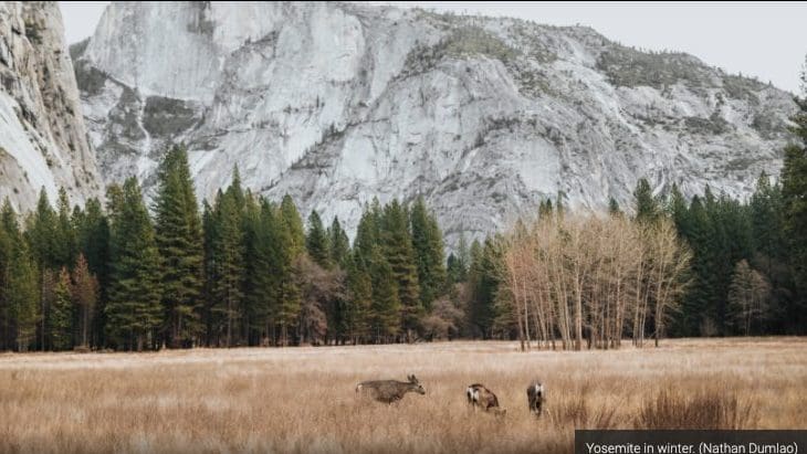 30 Must-Do Winter Adventures in California