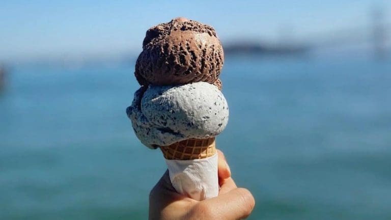 133 Awesome Things To Do On Your Day Off In The Bay Area