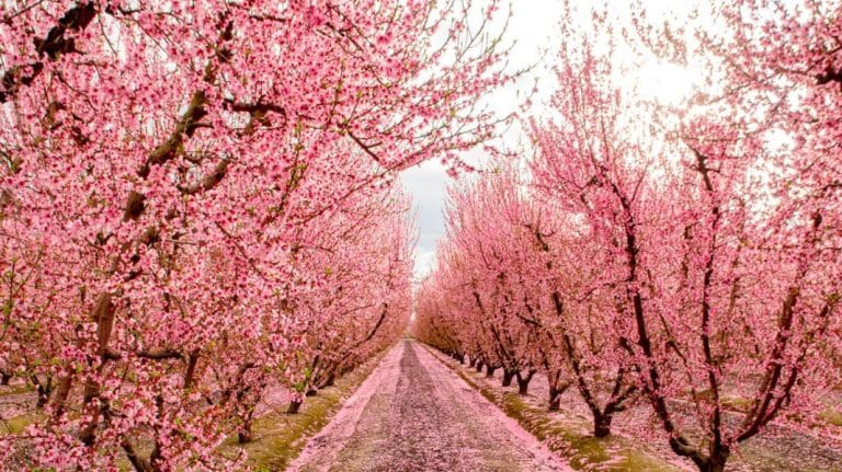 February 2022 Events in California