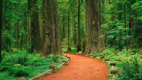 The Best State Park in Every U.S. State 