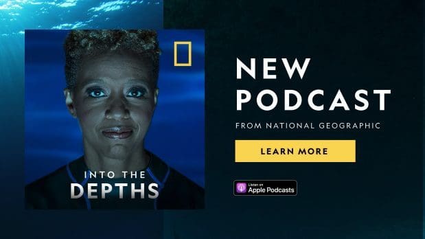 Into the Depths w/ Tara Roberts