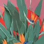 Still Lifes In Contemporary Art