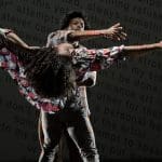 The Soft Solace of a Slightly Descended Lost Life (Suck It)