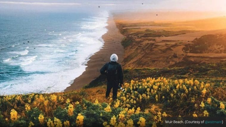 Marin’s 10 Best Day Hikes 