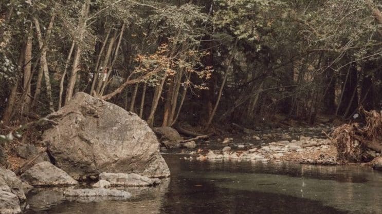 20 Gorgeous Camping Spots Within 100 Miles of San Francisco