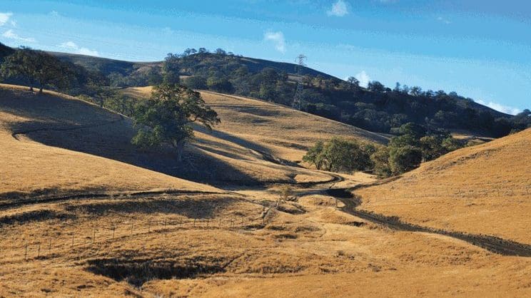 East Bay Spring Hikes 