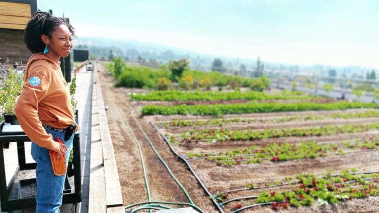 Can a rooftop farm in Oakland change the world?