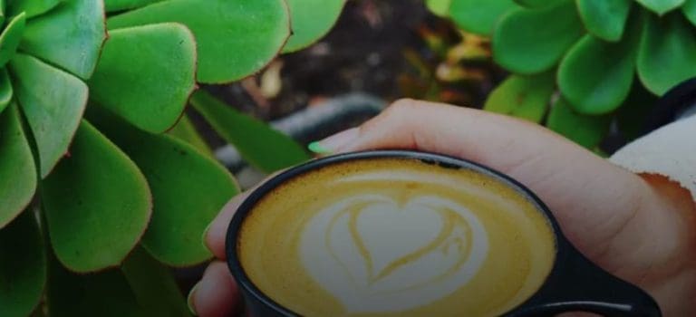 25 Excellent San Francisco Coffee Shops