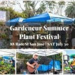 Second Annual Art and Plants Summer Festival
