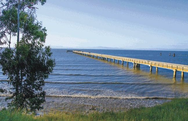 Make a Splash: East Bay Beaches, Lakes, and Pools