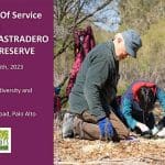 MLK Jr. Day Of Service at Pearson-Arastradero Preserve