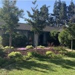 Martin Luther King Day at San Tomas Park