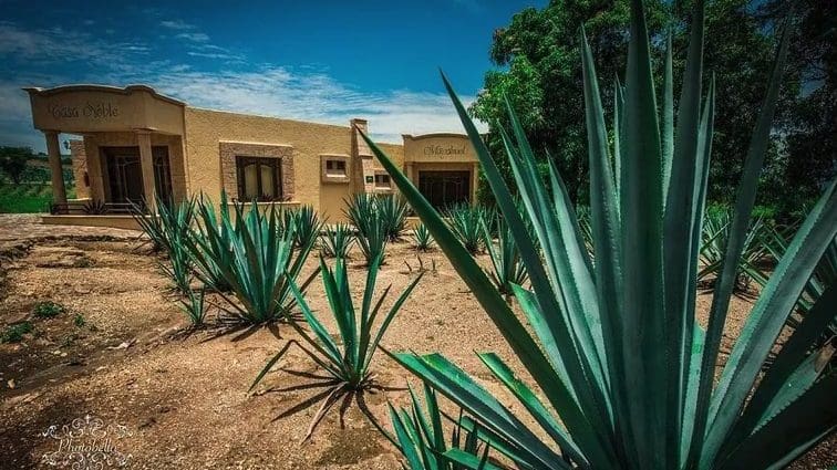 Travel Inspiration: Our Top 10 Most Exhilarating Trip Experiences of 2022