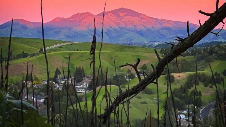8 Butt-kicking Hikes up the Bay Area’s Tallest Mountain Peaks