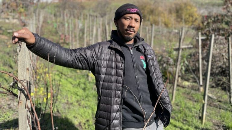 From The Soil: Viticulture for the Culture