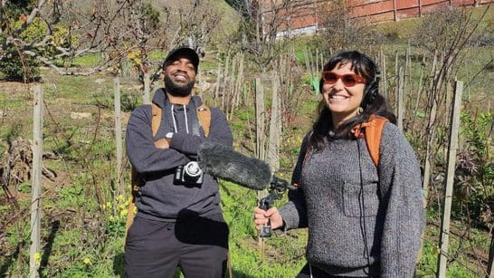 From the Soil: How the Seed Was Planted