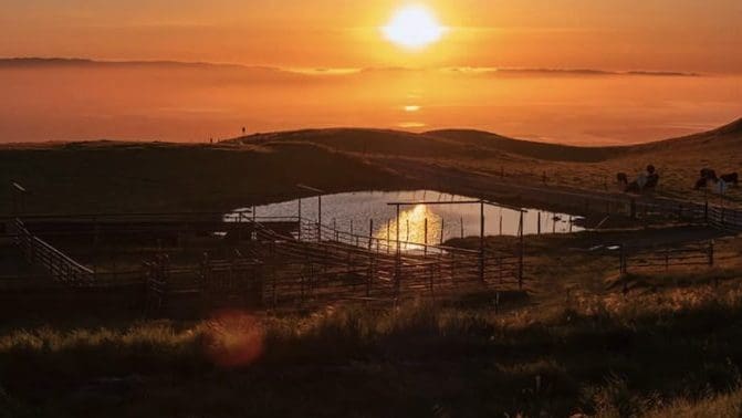 Trails Less Traveled: Wide Open Spaces and Loops Around the Bay Area