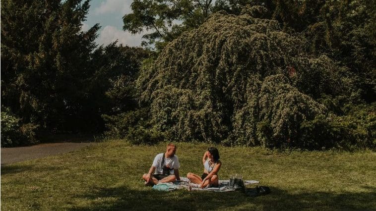 5 East Bay Hikes + Local Eats for a Picnic