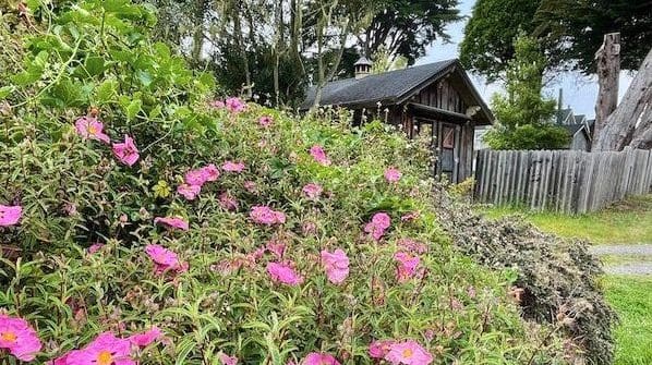 This week’s tablehopper: coastal beauty.