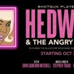 Hedwig and the Angry Inch