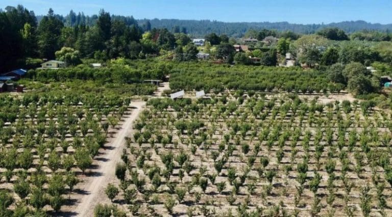 EARTHseed Farm: Black-owned and rooted in afro-indigenous wisdom