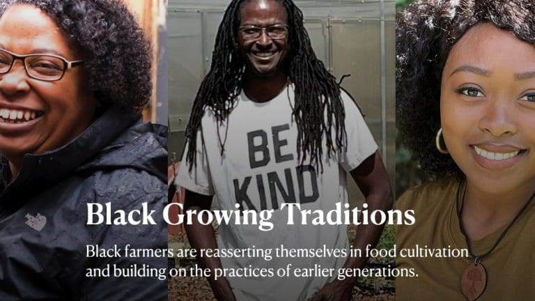 Black Growing Traditions
