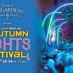 12th Annual Autumn Lights Festival
