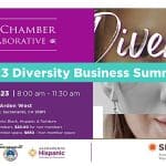 2023 Diversity Summit Local Chamber Collaborative Event