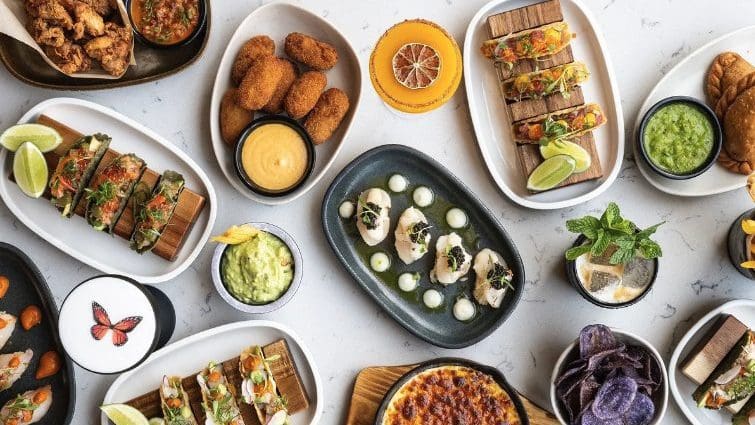 13 Best South American Restaurants in San Francisco and Oakland