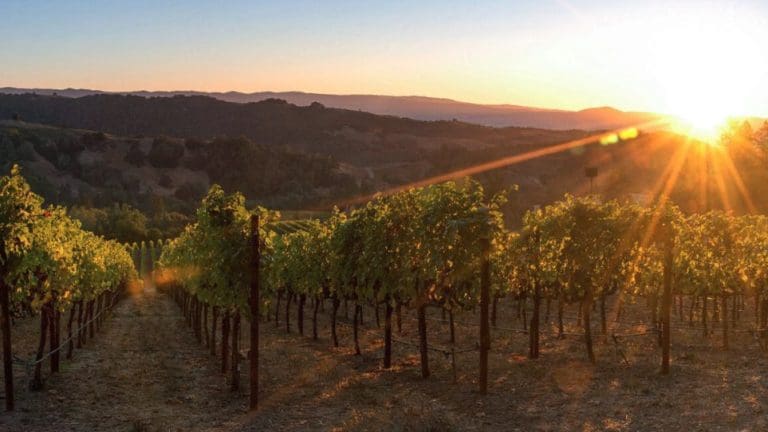 The 10 Most Beautiful Wineries in Napa Valley