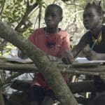 Walking Archives: Thoughts on Mangroves, Schools, Round Houses, and Weaving