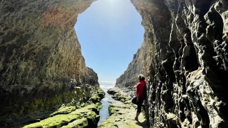 20 Enjoyable Things To Do On Your Day Off In San Francisco