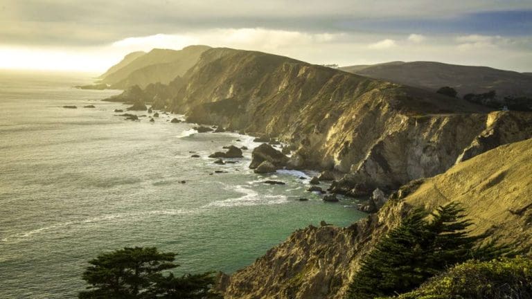 Seals, Foraging and Buffalo Soft Serve: 5 NorCal Summer Day Trips