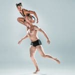 Pilobolus