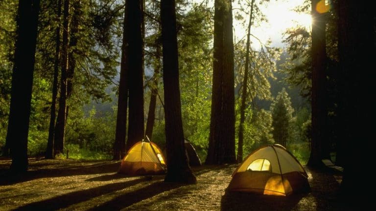 How to Find a Camping Spot in California (When They Always Seem to Be Fully Booked)