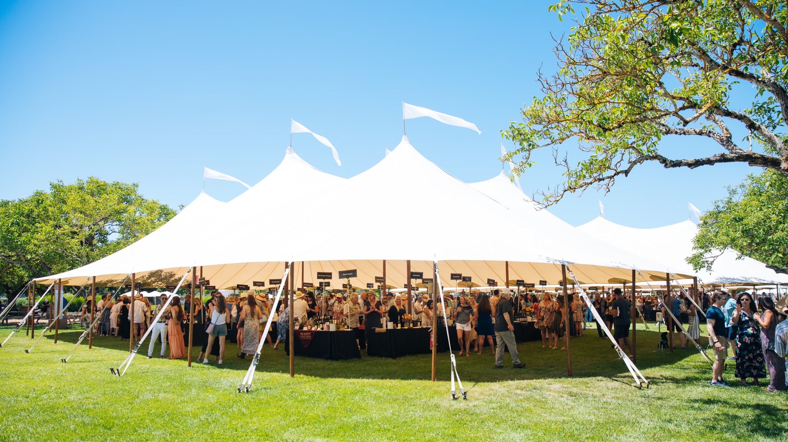 Taste Of Sonoma