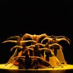 Cal Performances Gala 2024