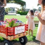 5 Bay Area winery picnics and alfresco destinations for summer