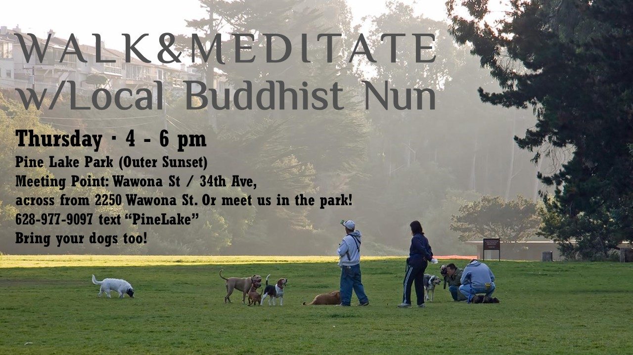 THURSDAY WALK&MEDITATE with Your Nextdoor Buddhist Nun in Pine Lake Park